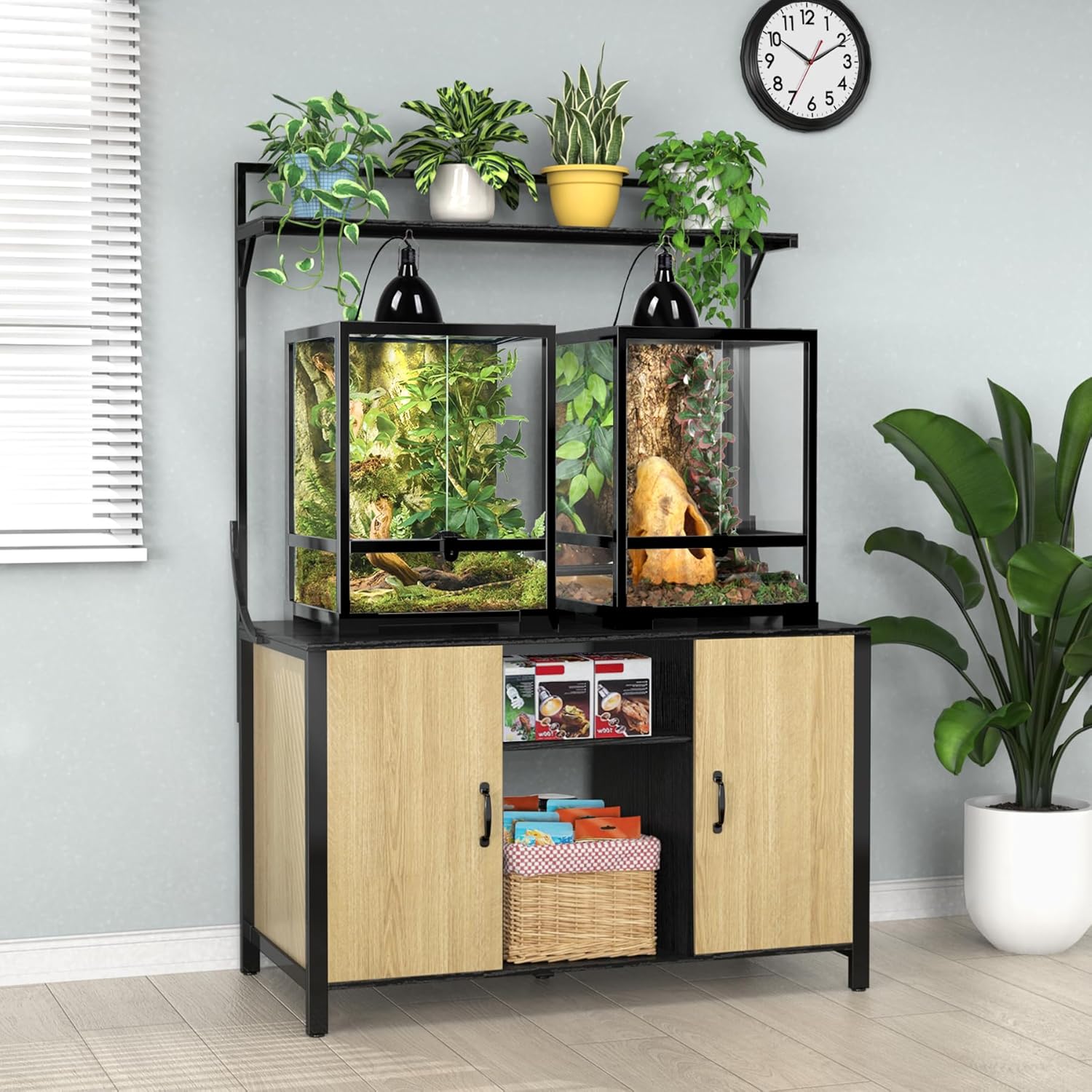 GDLF Reptile Tank Stand Terrarium Stand with Cabinet for Accessories Storage 48