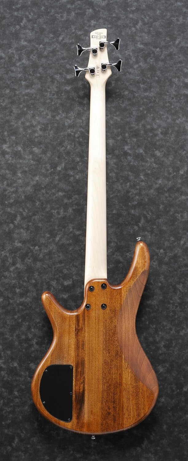 Gio Ibanez Set with Accessories, Ideal For Beginners Electric Base Set