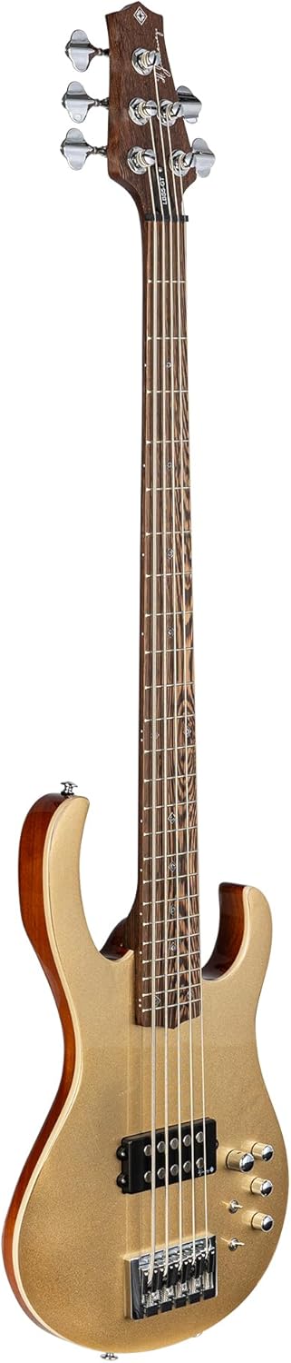 H. Jimenez 5 String Glossy Gold Top Bass Guitar With Deluxe Padded Gig Bag (LBS5-GT)