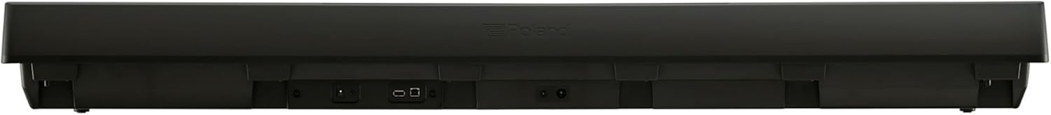 Roland FP-10 88-Key Digital Piano Bundle with Sustain Pedal, Cover, Cable, Online Piano Lessons, Austin Bazaar Instructional Video and Polishing Cloth