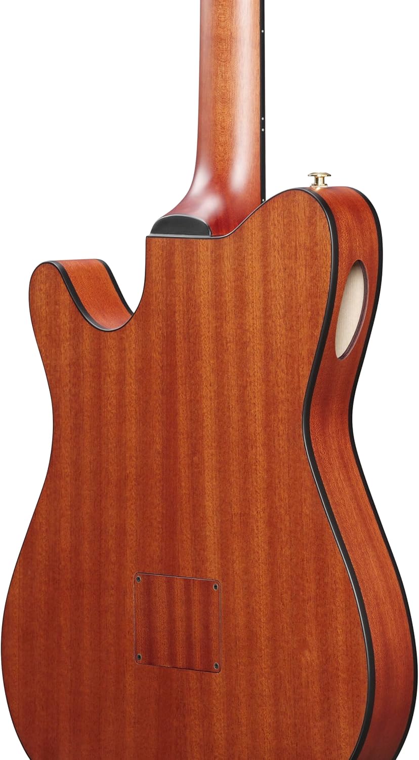 Ibanez FRH10N Thinline Nylon Acoustic-electric Guitar - Rose Gold Metallic Flat