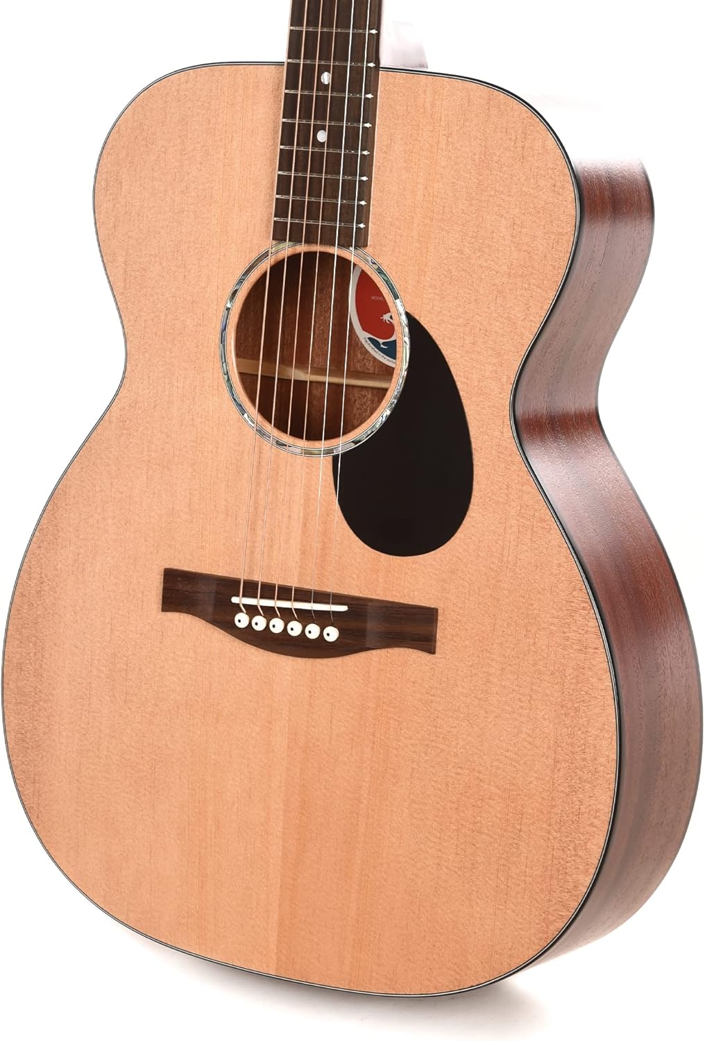 Eastman PCH1-OM Orchestra model Guitar