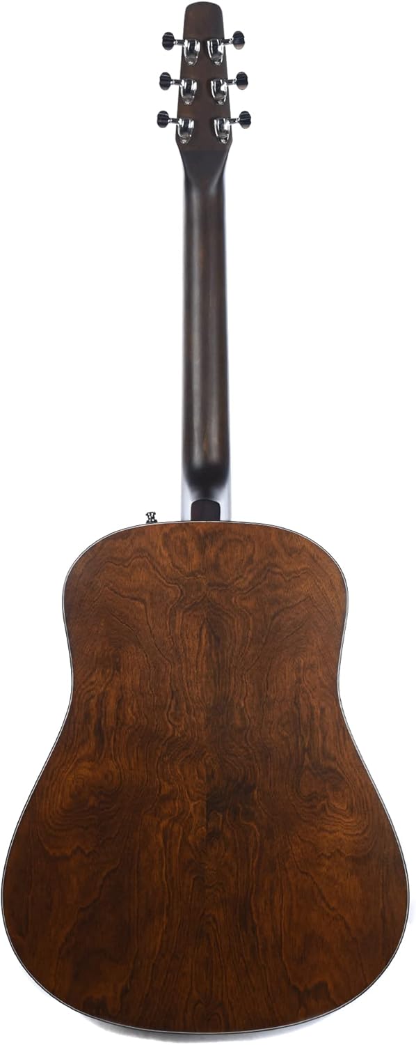 S6+ GT Acoustic Guitar