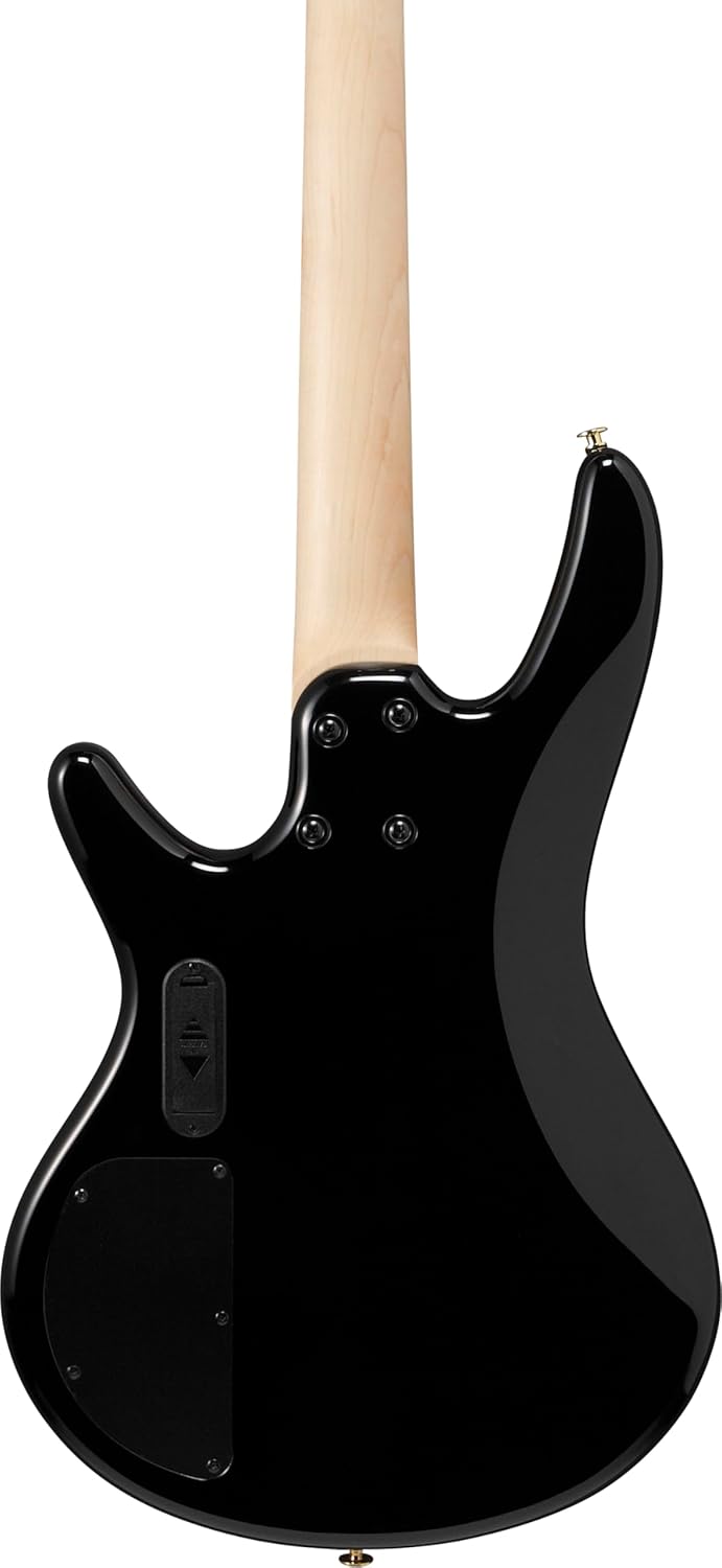 Ibanez Gio GSR200PC 4-String Right-Handed Electric Bass Guitar with Okoume Body, Maple Neck, and Purpleheart Fretboard (Transparent Pale Black Burst)