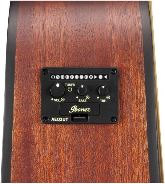 Ibanez ALT20 Altstar Acoustic-Electric Guitar (Open Pore Natural)