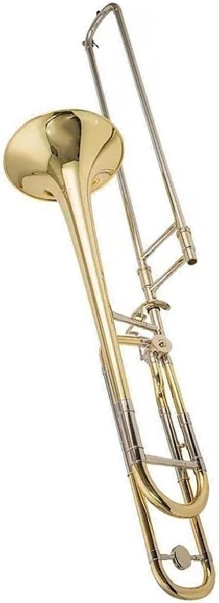 Adult Trombone Instrument Beginner Instrument Transposition Trombone Professional Playing B F