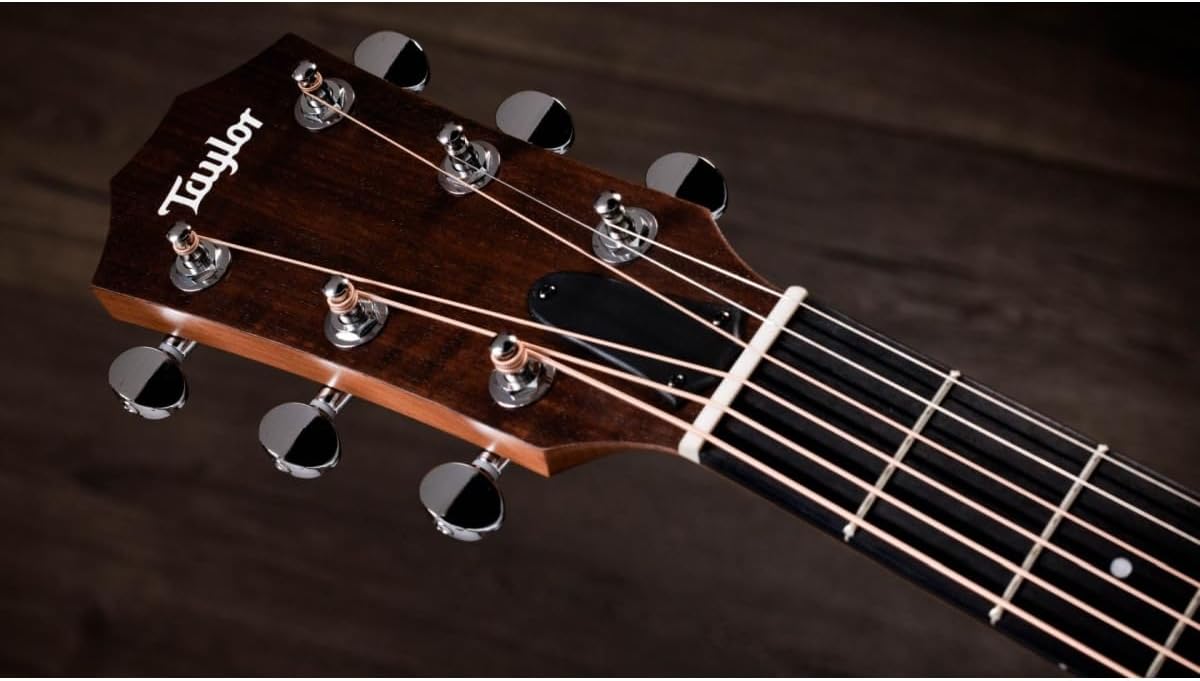 Taylor 24ce Neo-Tropical Mahogany/African Sapele Natural w/Fishman Sonitone GT-2