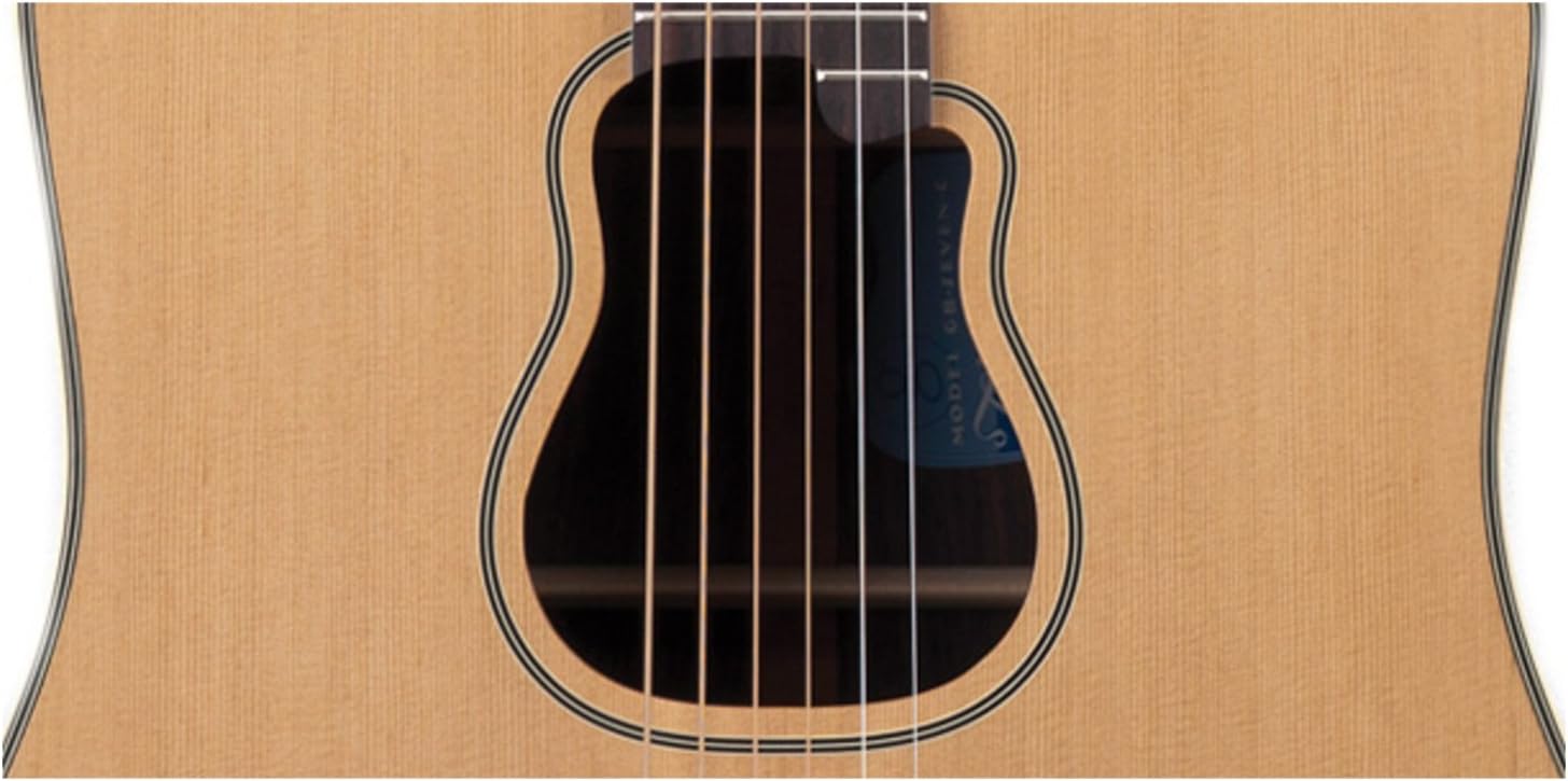 Takamine Pro Series GB7C Garth Brooks Dreadnought, Natural with Case