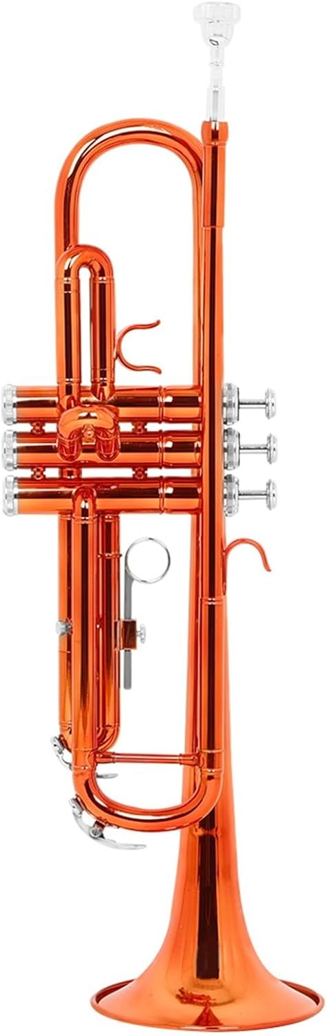 Trumpets The B Flat Trumpet Is A Suitable Instrument For Beginners To Practice On