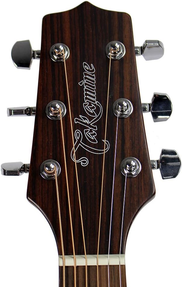 Takamine GD20-NS Dreadnought Acoustic Guitar, Natural