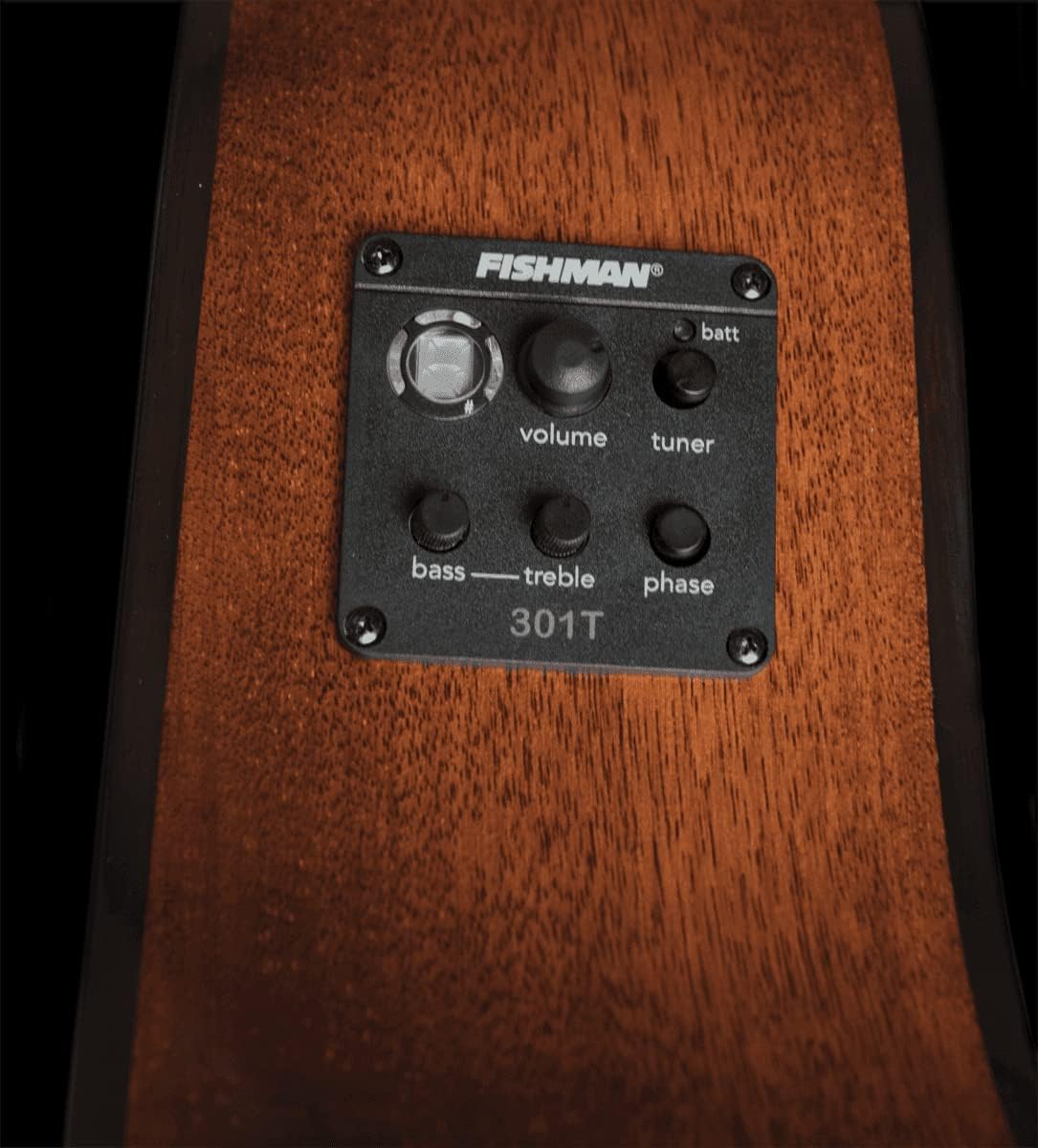 Other 6 String Acoustic-Electric Guitar, Right, Natural (WLO12SE-O)