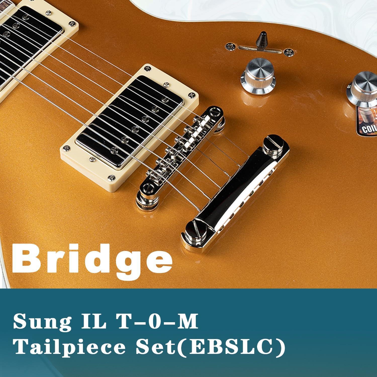 EART EGLP-620 6 String Solid Full-Size Electric Guitar,Full-Size 39 Inch Roasted Mahogany Stainless Steel Frets India Rosewood Fingerboard