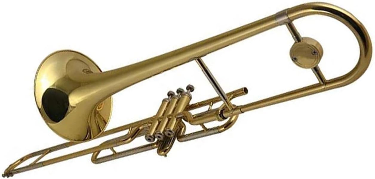 Adult Trombone Instrument Professional Playing Beginner Instrument Bass Trombone