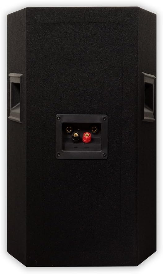 Acoustic Audio by Goldwood Live Sound Monitor (PA-365X) , Black