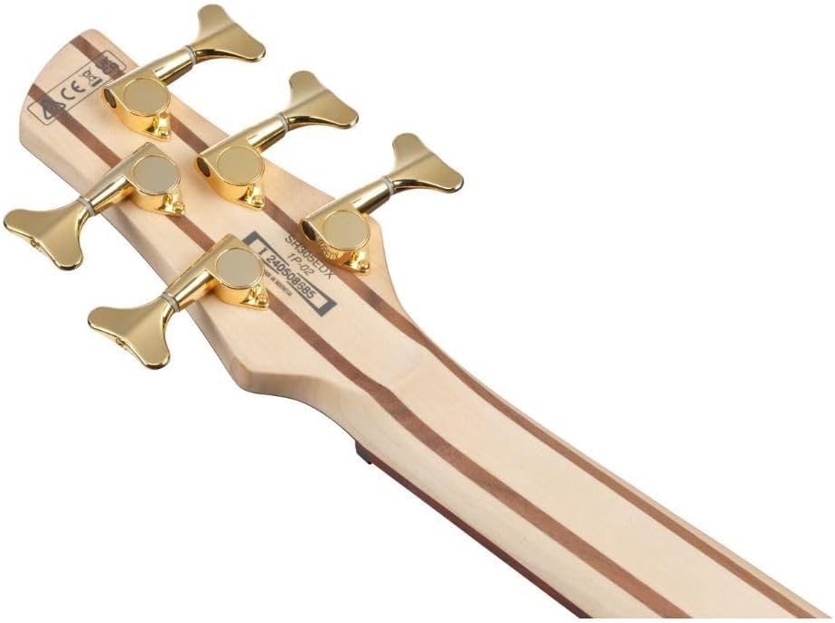 Ibanez SR305EDX Standard 5-String Right-Handed Electric Bass Guitar with Jatoba Fretboard, Nyatoh Body, and PowerSpan Dual Coil Pickups (Wine Red Frozen Matte)