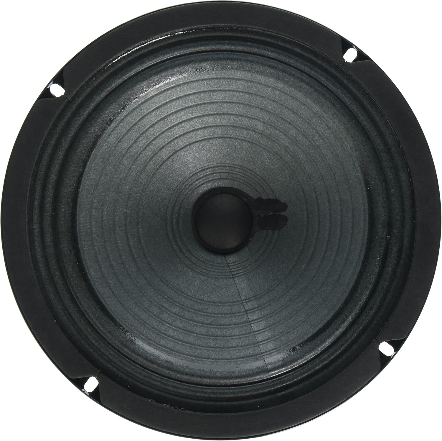 Jensen Vintage P8R8 8-Inch Alnico Speaker, 8 ohm
