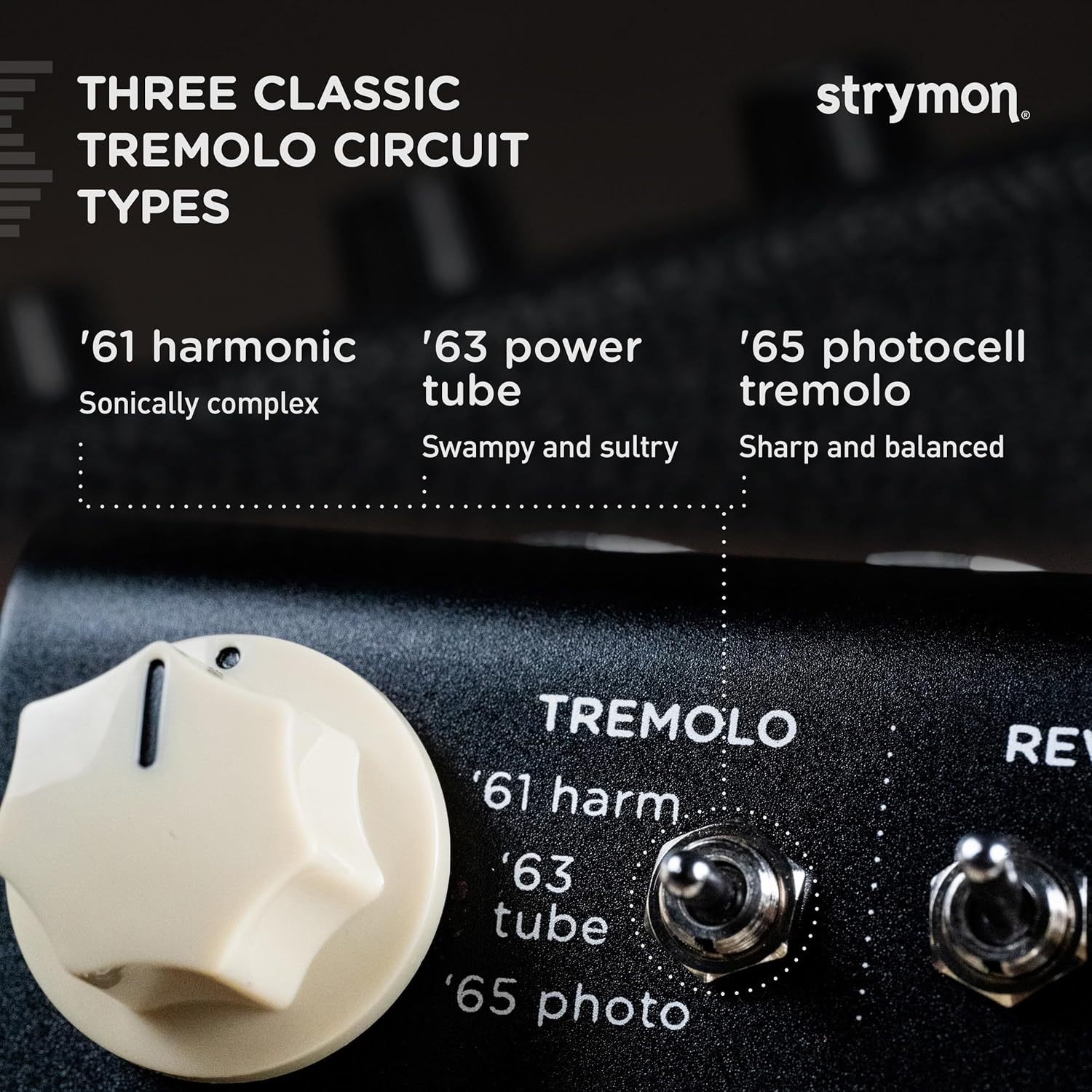Strymon Flint V2 Tremolo and Reverb Guitar Effects Pedal for Electric and Acoustic Guitar, Synths, Vocals and Keyboards