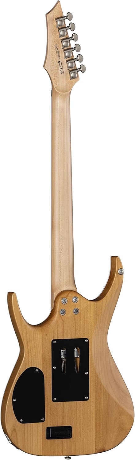 Dean Guitars Exile Select Floyd Rose 6 String Burl Poplar Electric Guitar, Right, Satin Turquoise Burst (EXILEF BRL STQB)