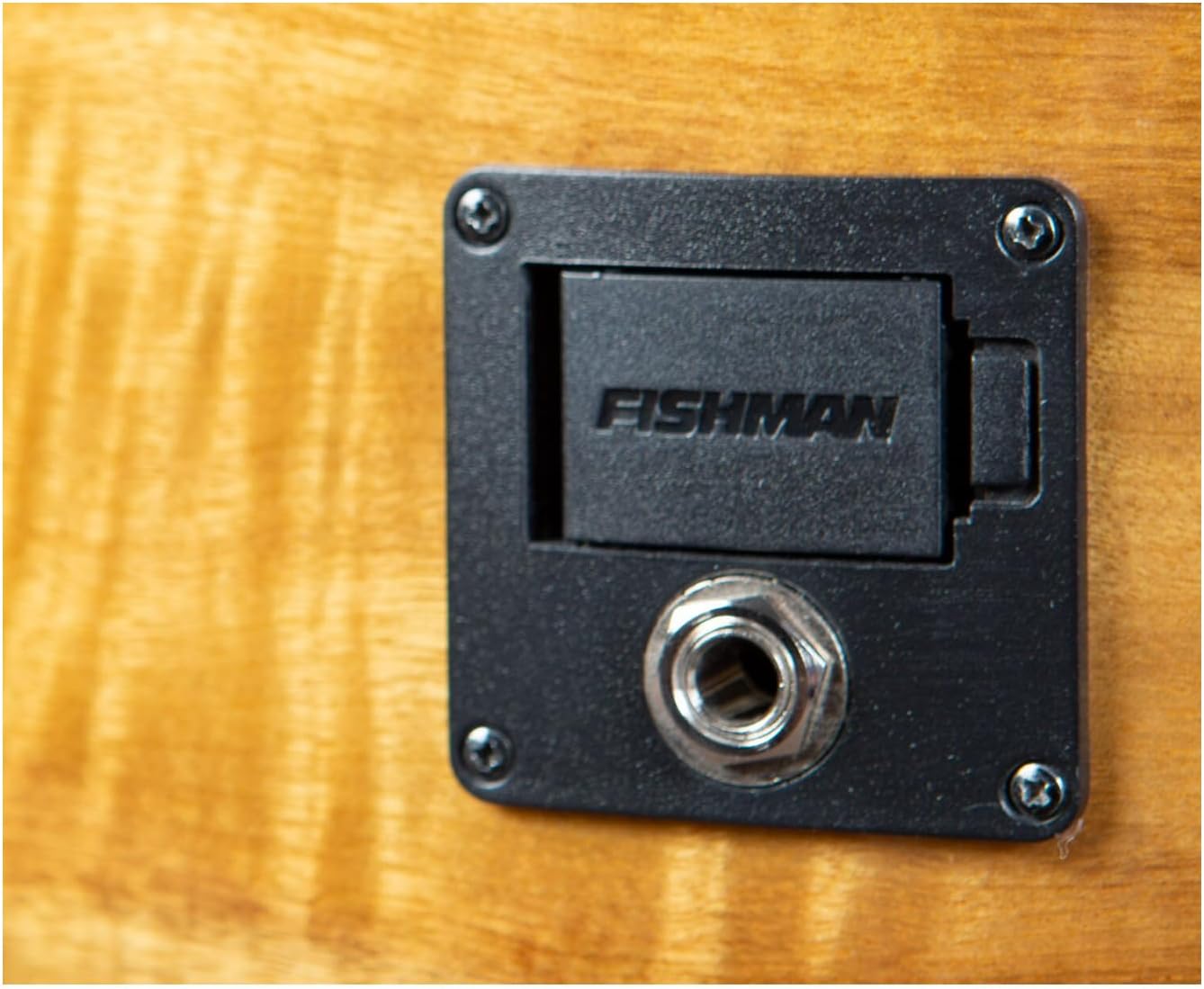 Breedlove Pursuit Exotic S Concert 6-String Myrtlewood Wood Top Acoustic Electric Guitar with Slim Neck and Pinless Bridge (Right-Handed, Amber)