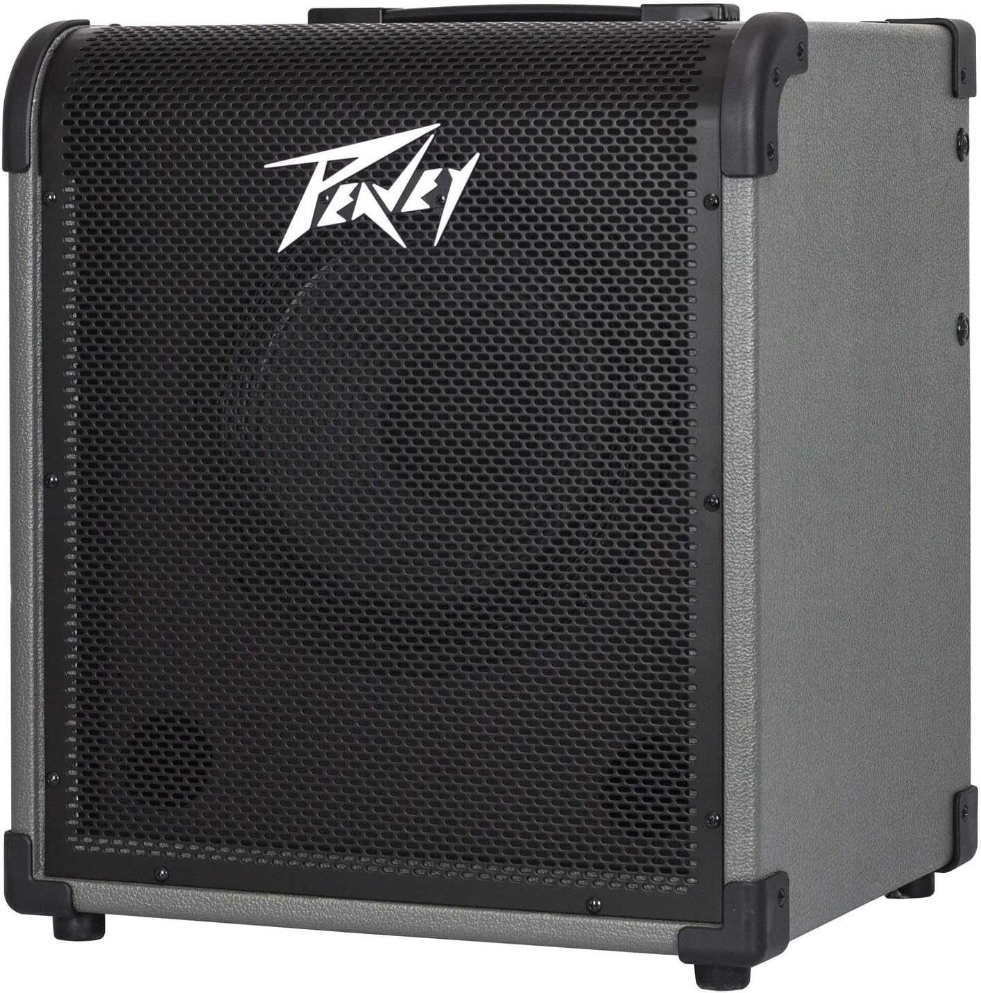 Peavey MAX 100 100-Watt Bass Amp Combo