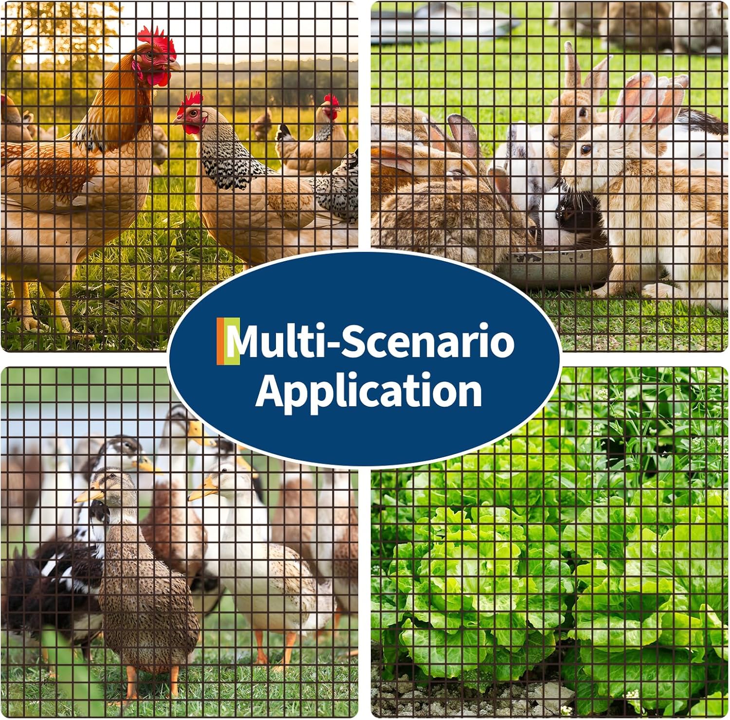 Hardware Cloth 1/2 in - 48 in x 100 ft Galvanized Chicken Wire Mesh Roll, Hot-Dipped After Welding for Chicken Coop Accessories, Rabbit Cages & Poultry Netting – Durable Chicken Wire Fencing, Black