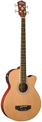 Washburn AB5K-A 5-String Acoustic Guitar