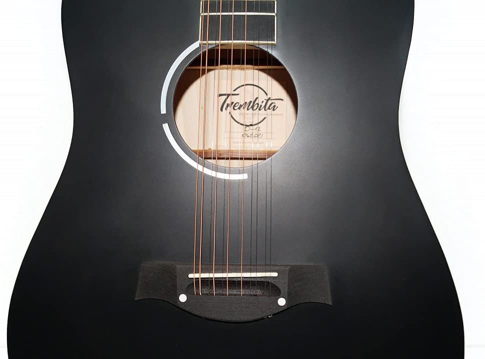Brand New Acoustic Guitar 12 Strings made in Ukraine Trembita Natural Wood Black Amazing Sound! (Eagle 12 string)