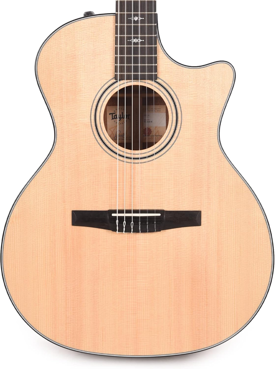 Taylor 314ce-N - Sapele Back and Sides