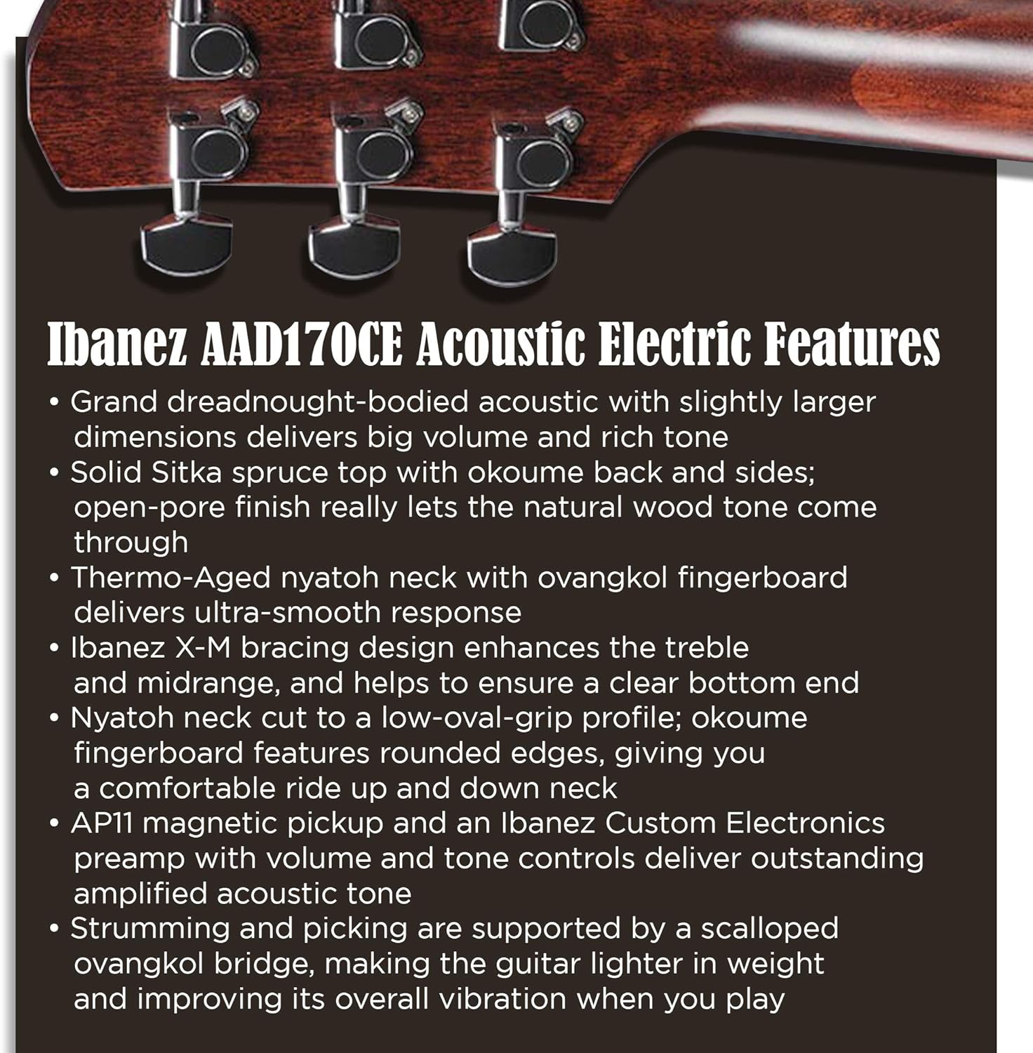 Ibanez Grand Dreadnought Acoustic Electric Guitar with Advanced Access Cutaway body