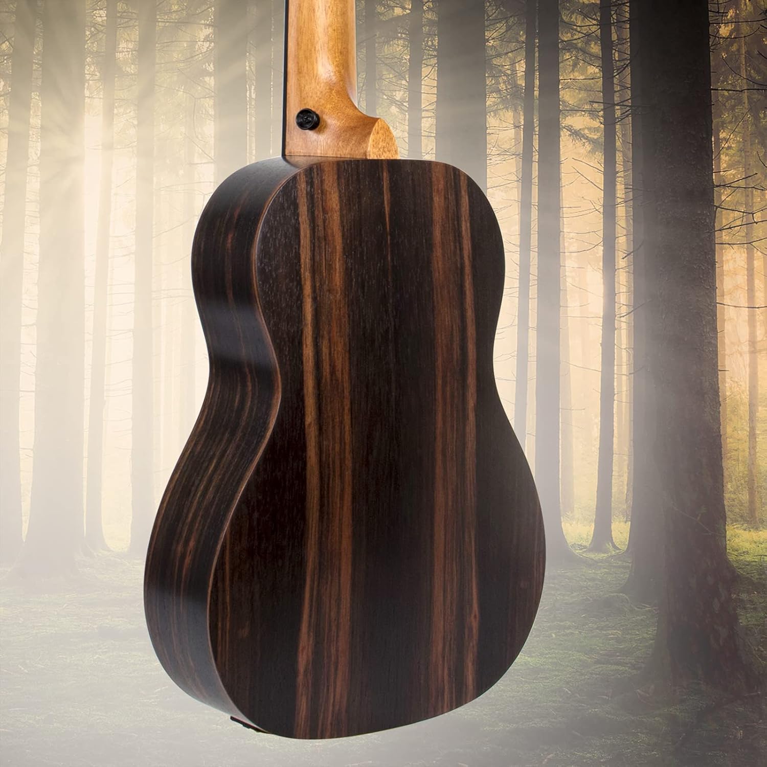 Electric Bass Ukulele,AKLOT Baritone Fretless Ukelele Bass Uke 30 inch Ebony African Blackwood Professional E-A-D-G with Gig Bag Strap for Beginner Advanced