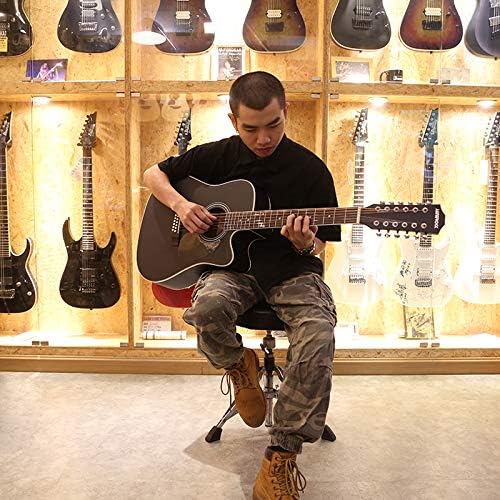 12 string Guitar 12 String Acoustic-Electric Guitar,Cutaway Guitar,Bundle with Gig Bag,Tuner,Strings,Strap, Picks