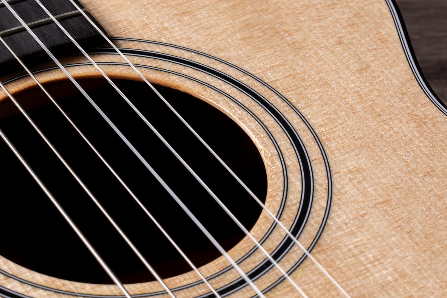 Taylor 312ce-N Grand Concert Nylon String Acoustic/Electric Guitar with Hardshell Case