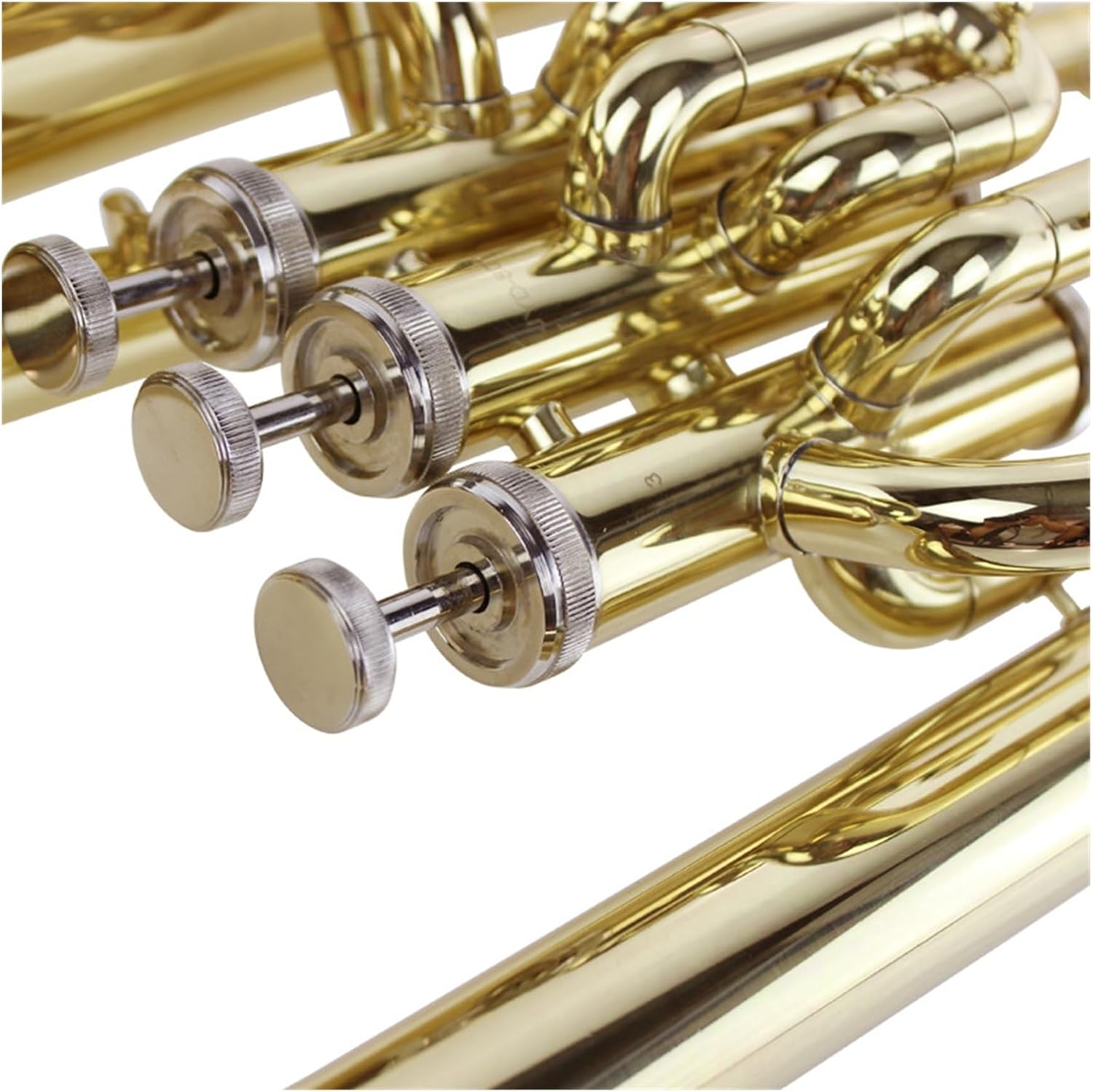 Euphonium in B flat three key instrument suitable for professional performance