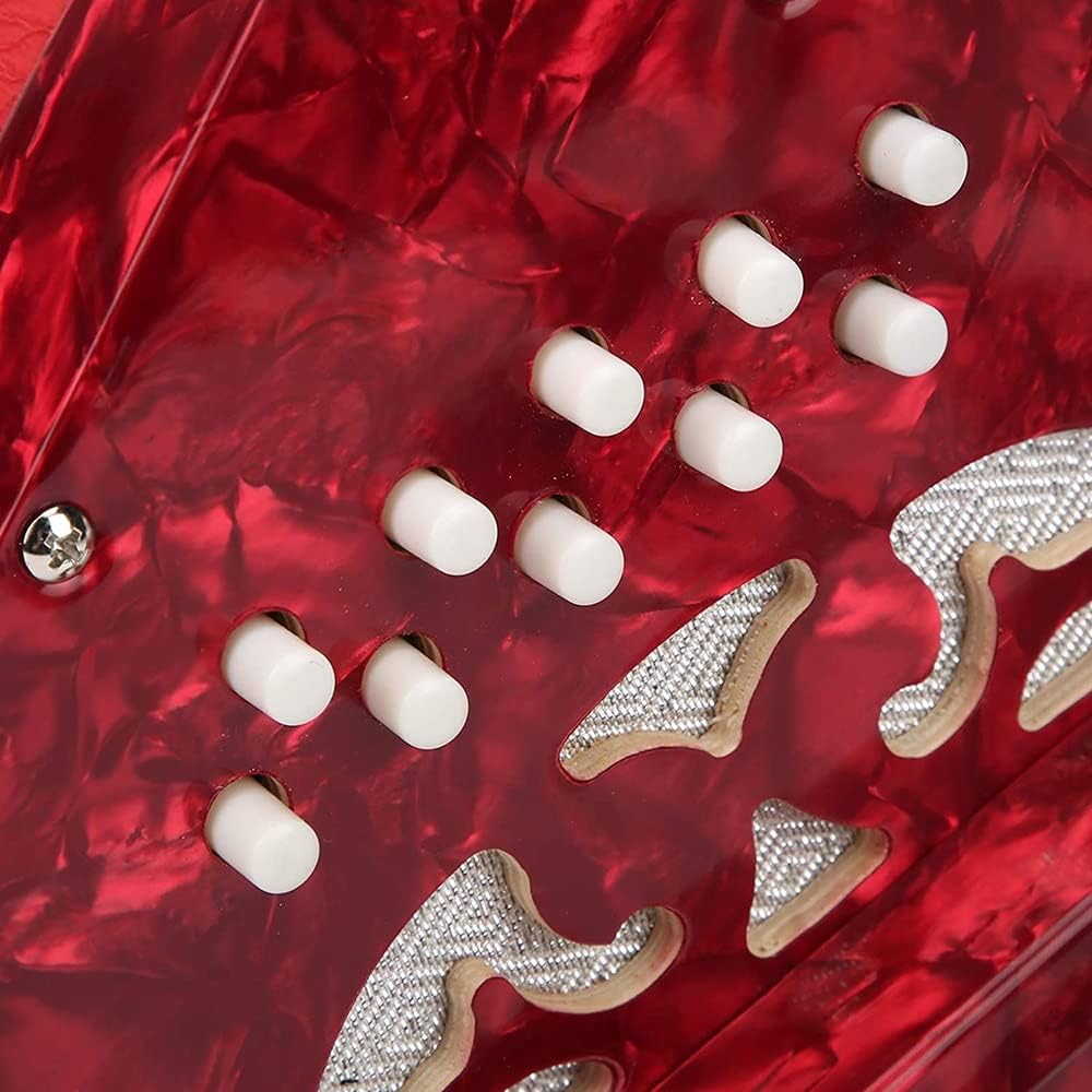 Piano Accordion 30 Keys, Professional 30 Buttons Accordion Concertina Musical Instrument, with Carrying Bag, Excellent Gift for Children Friends