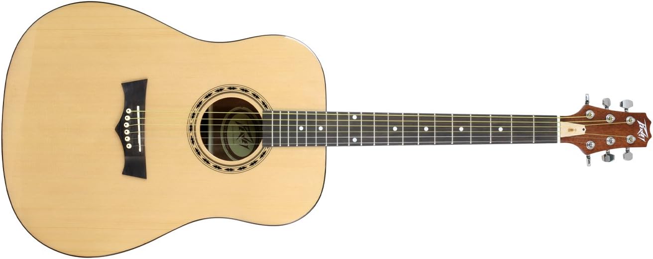 DWâ„¢-1 Acoustic Natural