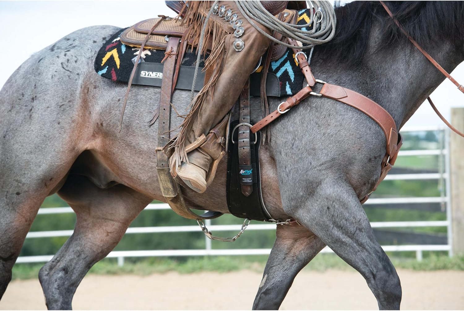 Airflex ‎Roper Horse Cinch, Anti-Slip Nylon Webbing Saddle Cinch Girth with Flat Buckle, Western Horse Riding Supplies, ‎Black