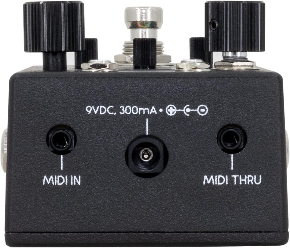 Walrus Audio Canvas Rehearsal Pedal