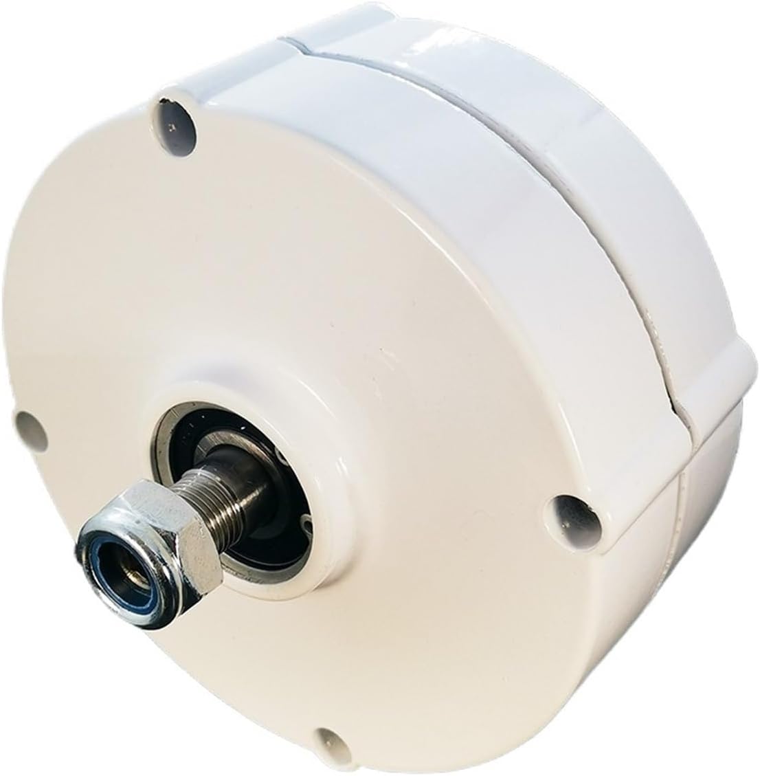 500W 12V 24V 48V Gearless Permanent Magnet Generator Turbine Low Speed for Water Conservancy and Wind Power Household Low Starting Speed for Home(Model1,24V)