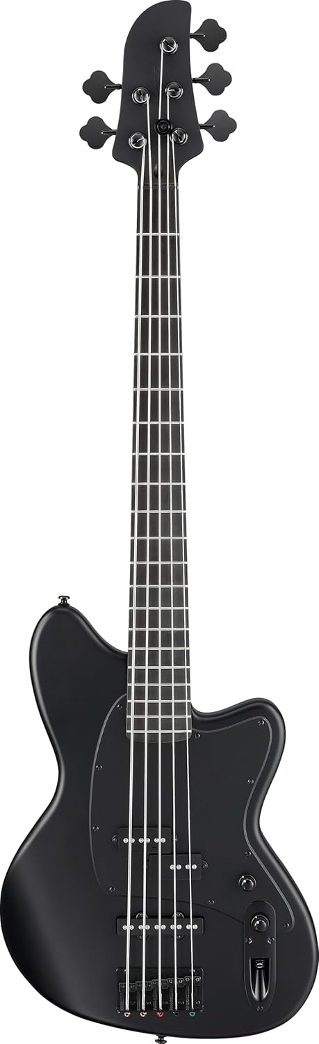 Ibanez Talman Standard TMB425BBKF Black Flat 5-String Electric Bass Guitar