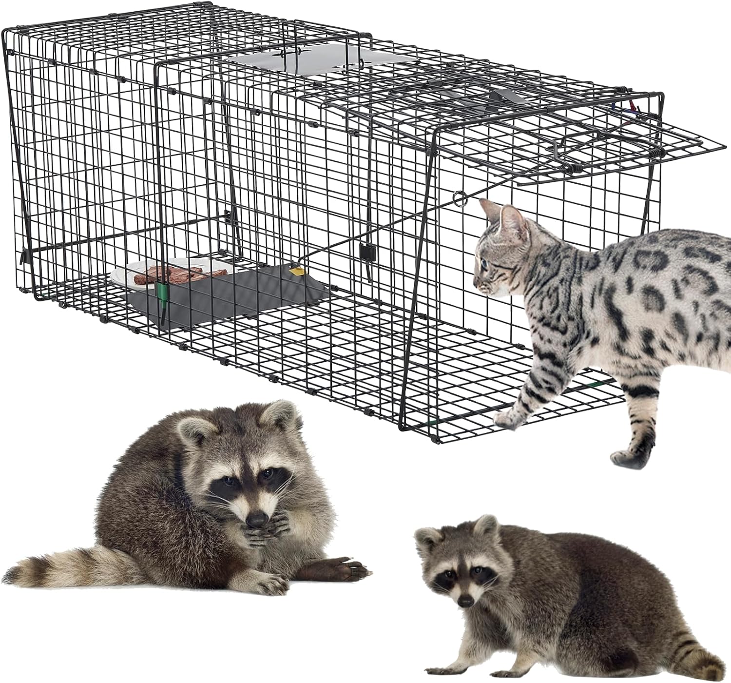 Heavy Duty 37 Inch Humane Live Animal Trap for Raccoons, Stray Cats, and Other Similarly Sized Animals, Foldable