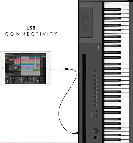 Artesia PA-88H 88-Key Weighted Hammer Action Digital Piano with 16 Dynamic Voices + Power Supply + Sustain Pedal (White)