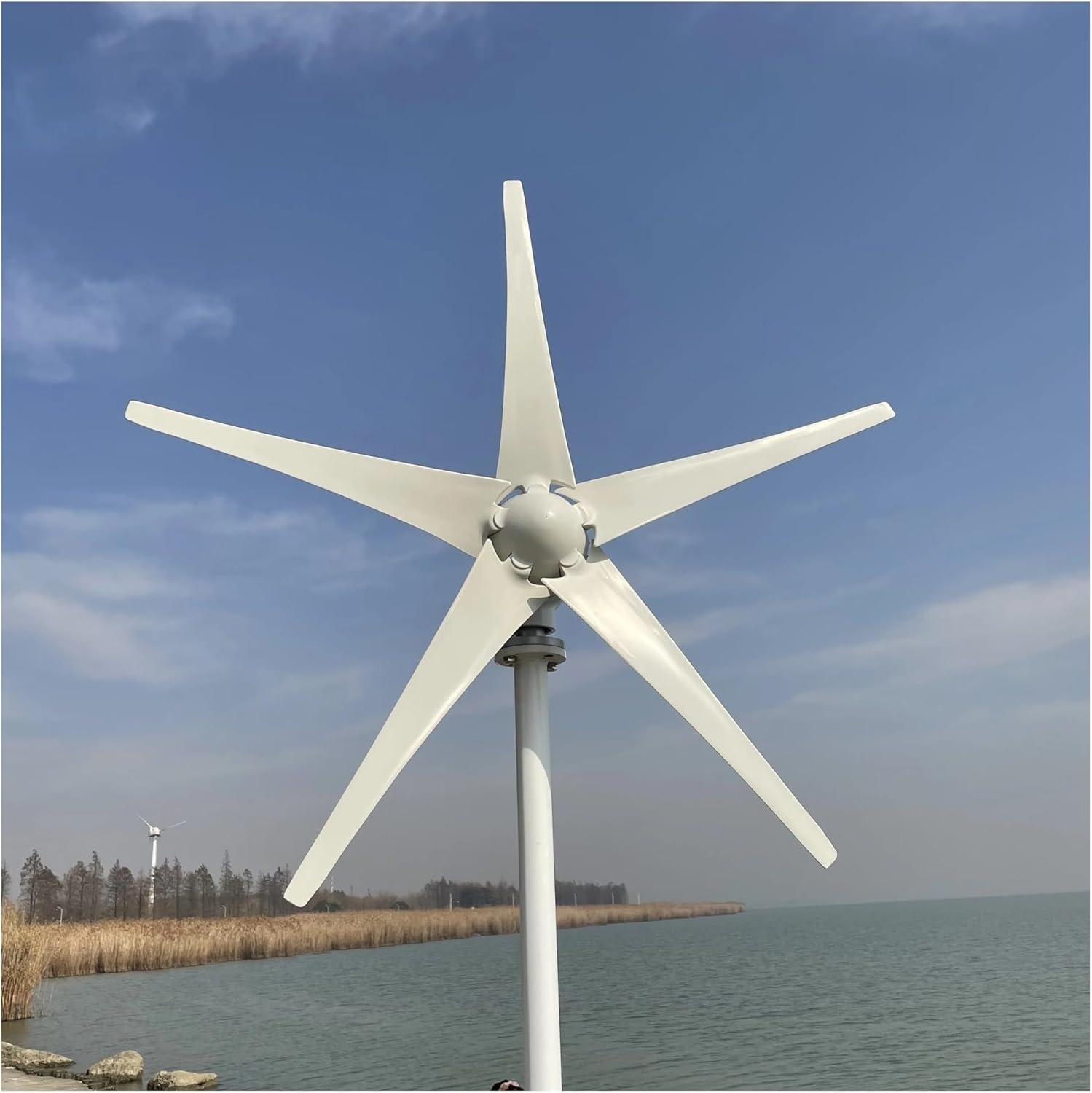 Wind Turbines, Windmills Wind Turbine nerator Kit 3000W 12V 24V 48V 5 Blades Home Use(12V)