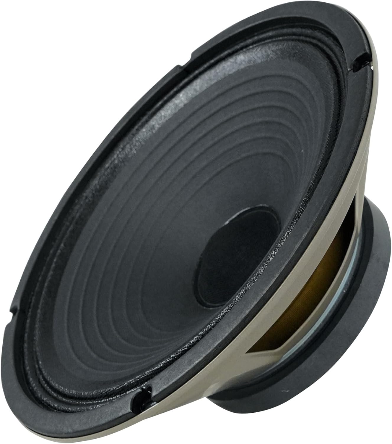 Audiosavings Bundle: (2) Celestion G10 Vintage 10