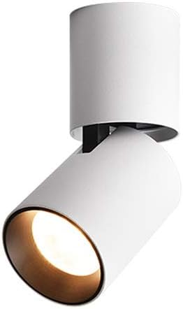 Surface Mounted LED Spotlight Ceiling Lamp Single Lamp Ceiling Foldable Ceiling Nordic COB Downlight Bedroom Aisle Corridor Living Room Porch Background Wall Wash Wall Lamp Outdoor Lig ( Color : Warm