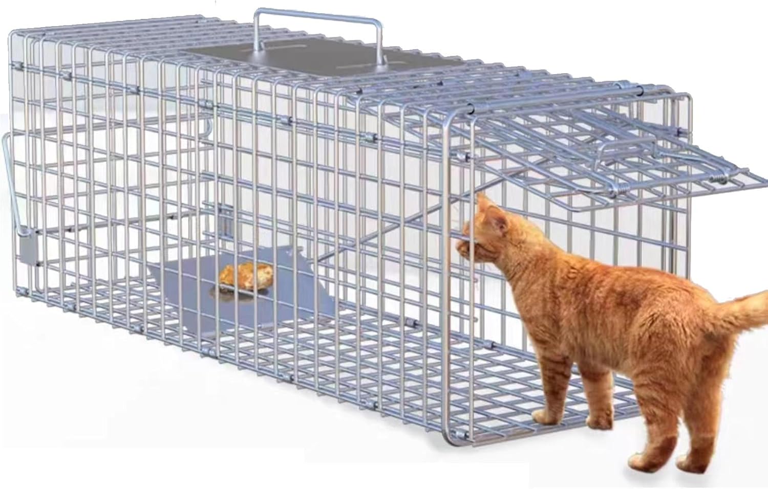 Folding Animal Trap Cage Large, Live Humane Cat Trap for Stray Cats Rodent Catching Cage for Raccoon, Groundhog, Squirrel, Skunk(79x28x33cm)