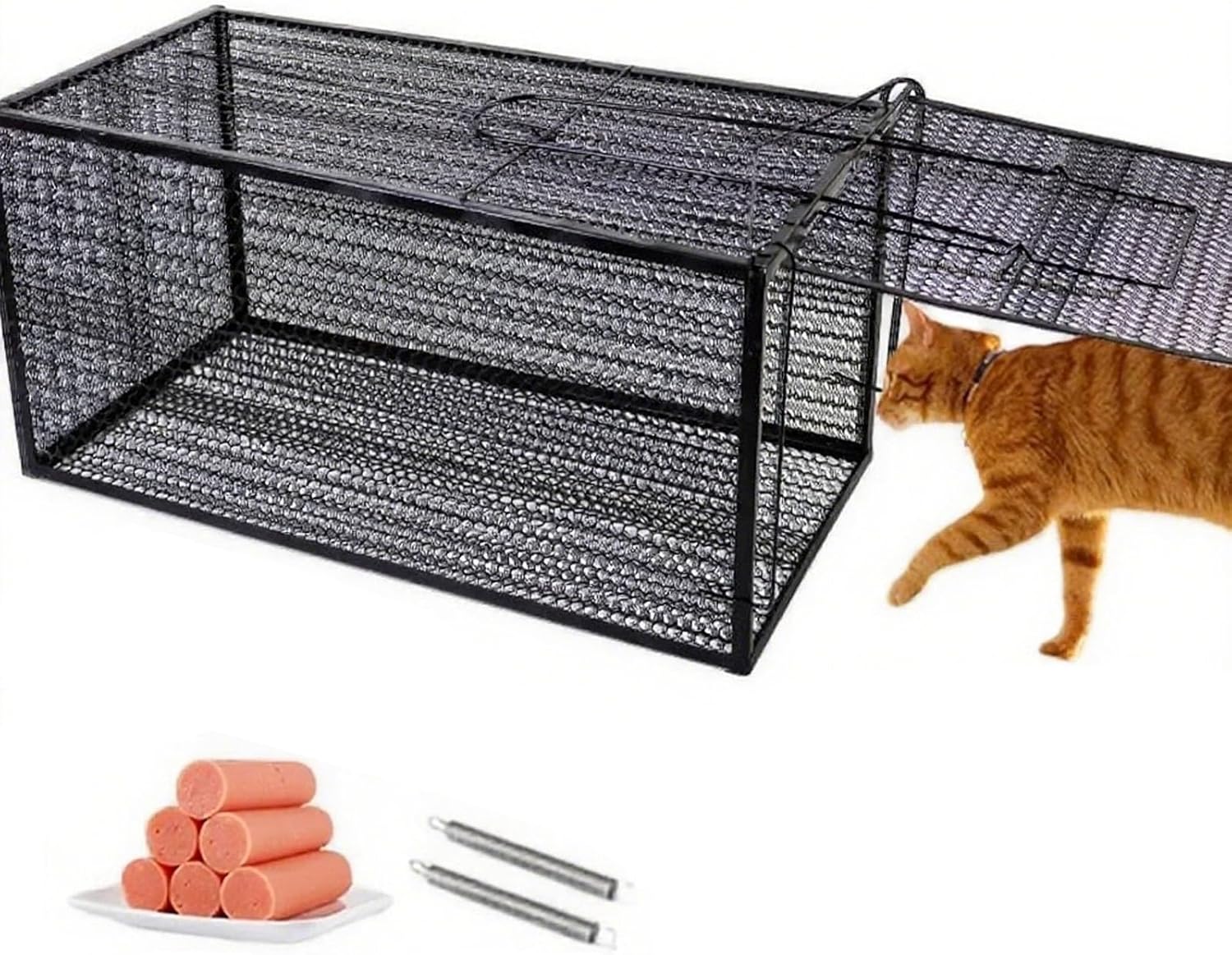 21 Inch Live Animal Traps for Cats, Small Humane Cat Trap Live Cage Outdoor Cat Traps Feral for Raccoons, Rabbits, Squirrels, Wildcats