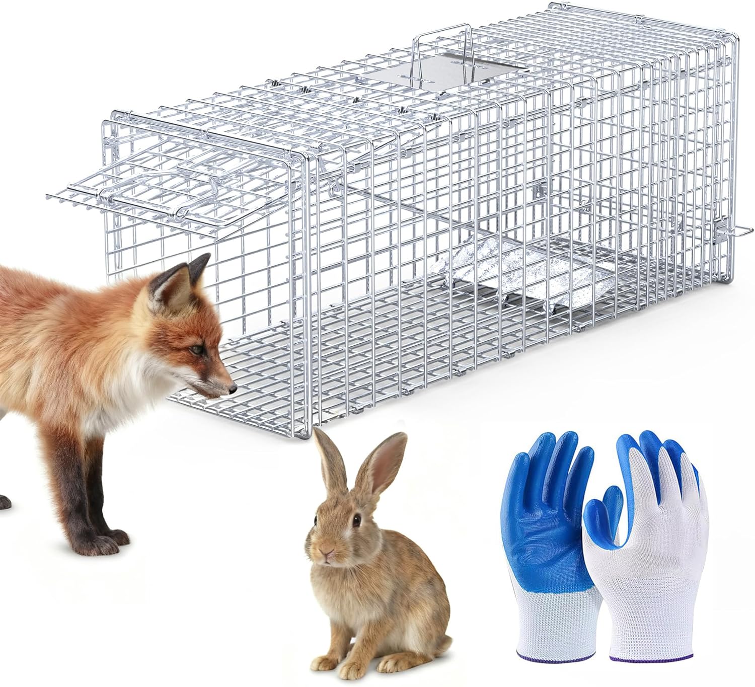 Humane Animal Cage Trap, Foldable Large Live Cage Trap for Squirrels/Stray Cats/Foxes, Easy Catch & Release, Reusable Indoor/Outdoor, 37