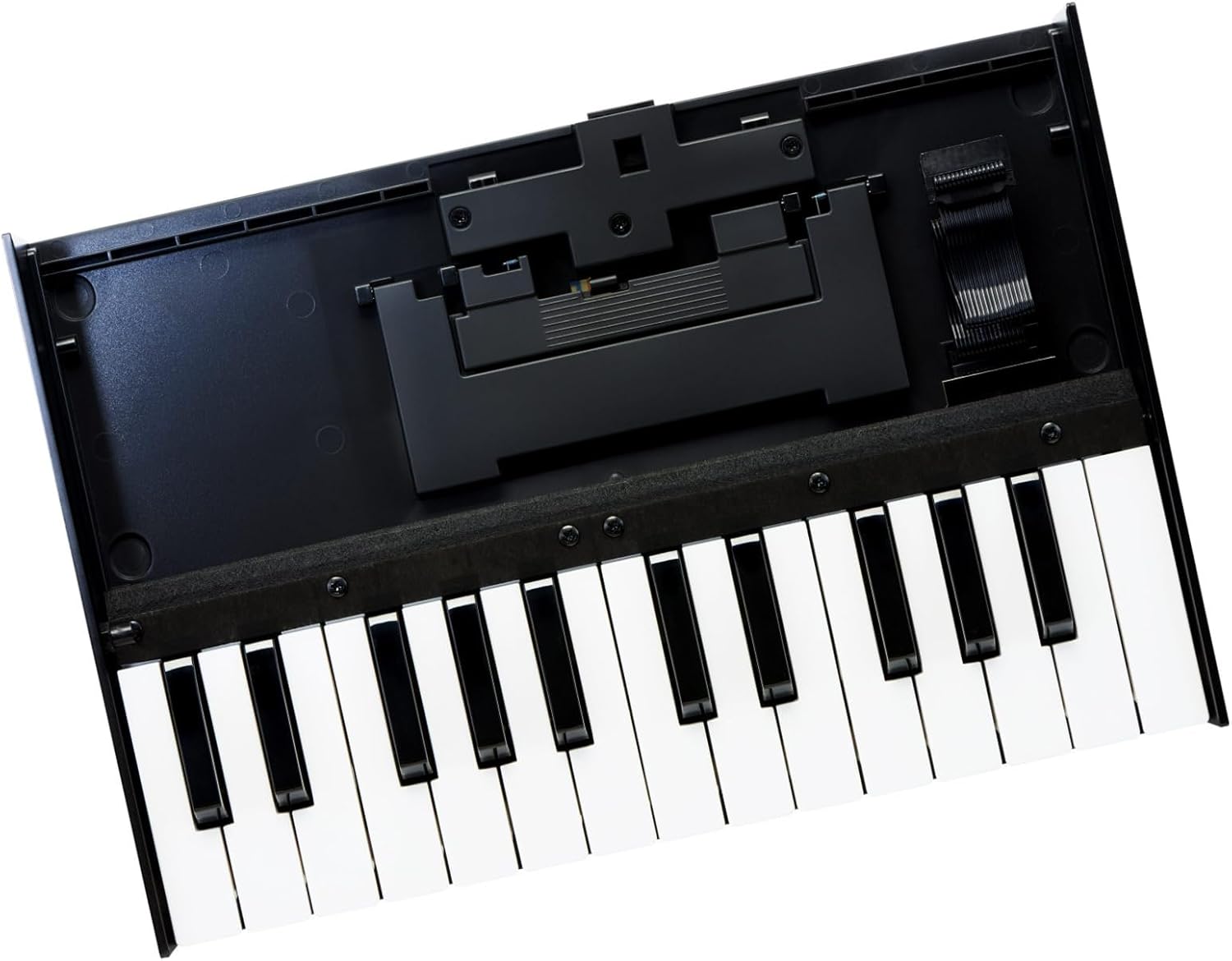 Roland K-25M Boutique Module Dock USB MIDI Keyboard, 12 inch (K-25M)