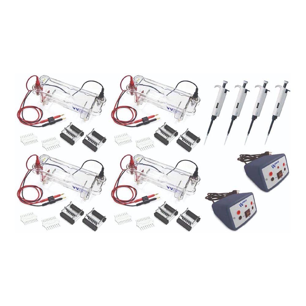 Walter Products EL-200-32 EL200 Electrophoresis Four Station