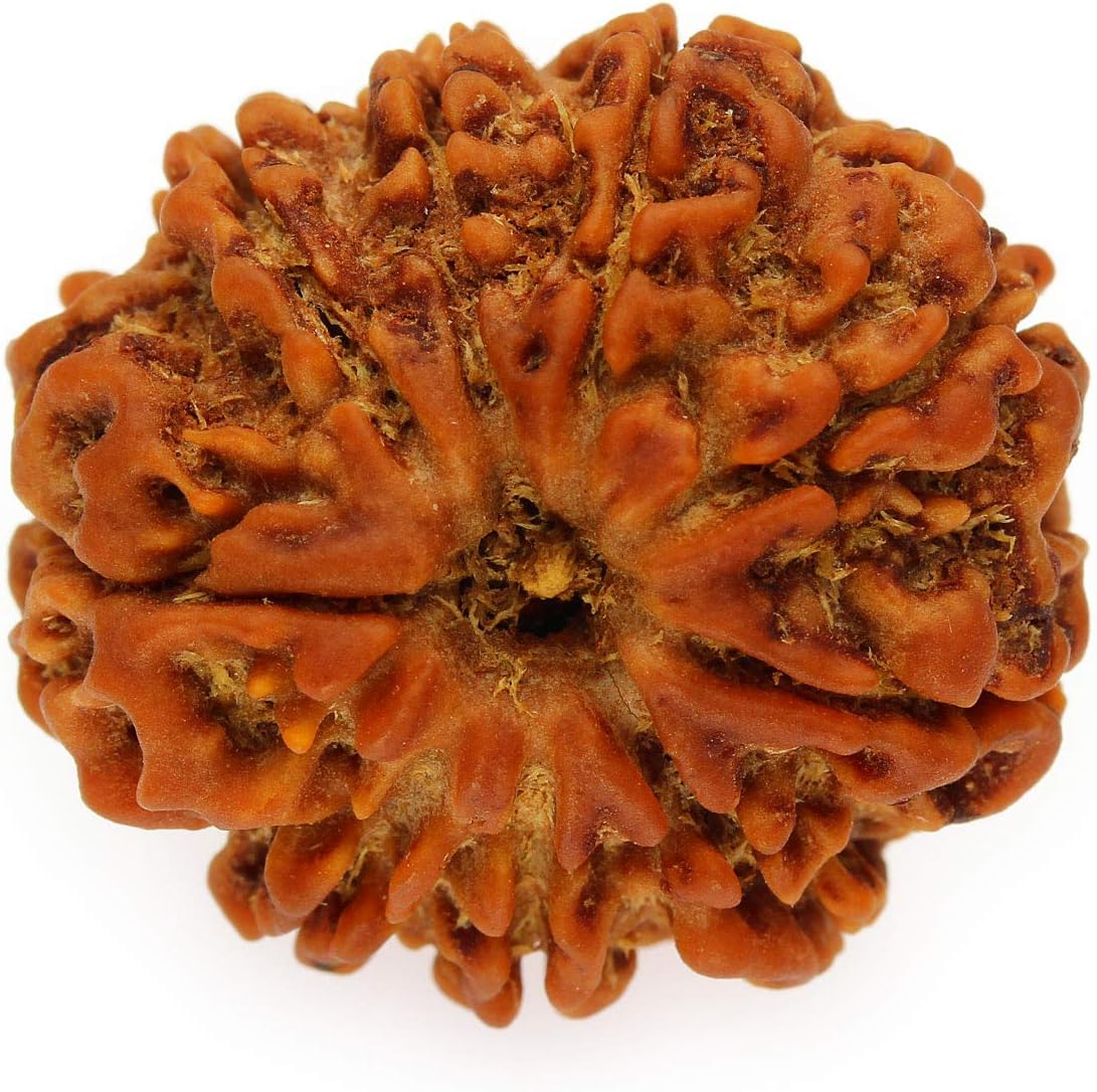SitaRama RDB009A Rudraksha Beads 9 Sided (Nepal)